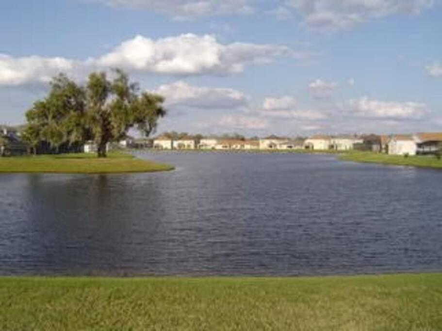 Gone 2 Florida Vacation Homes Four Corners Номер фото
